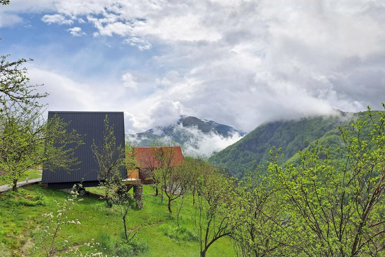 Fern Farm Tiny Home Mojkovac Exterior photo