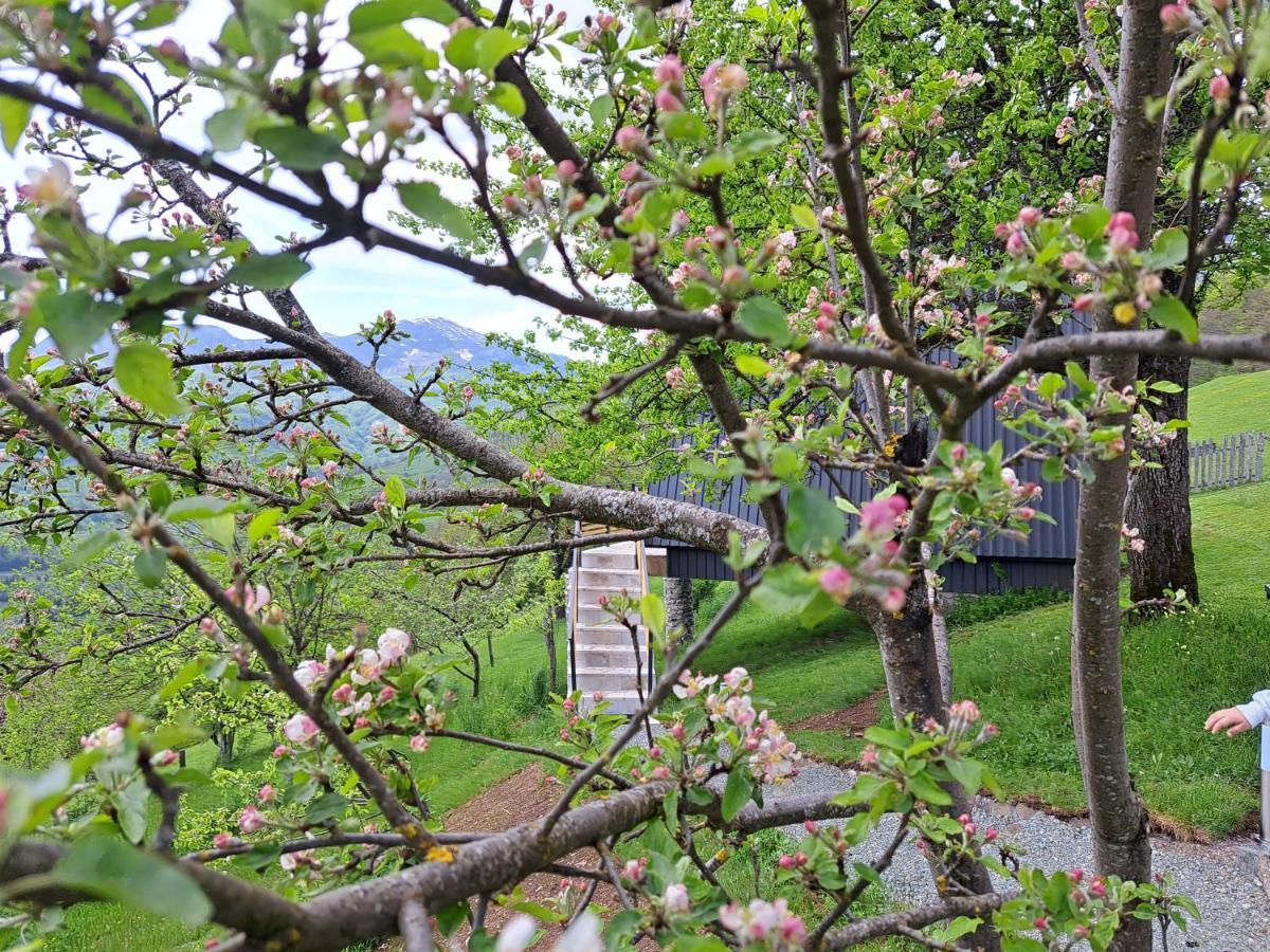 Fern Farm Tiny Home Mojkovac Exterior photo
