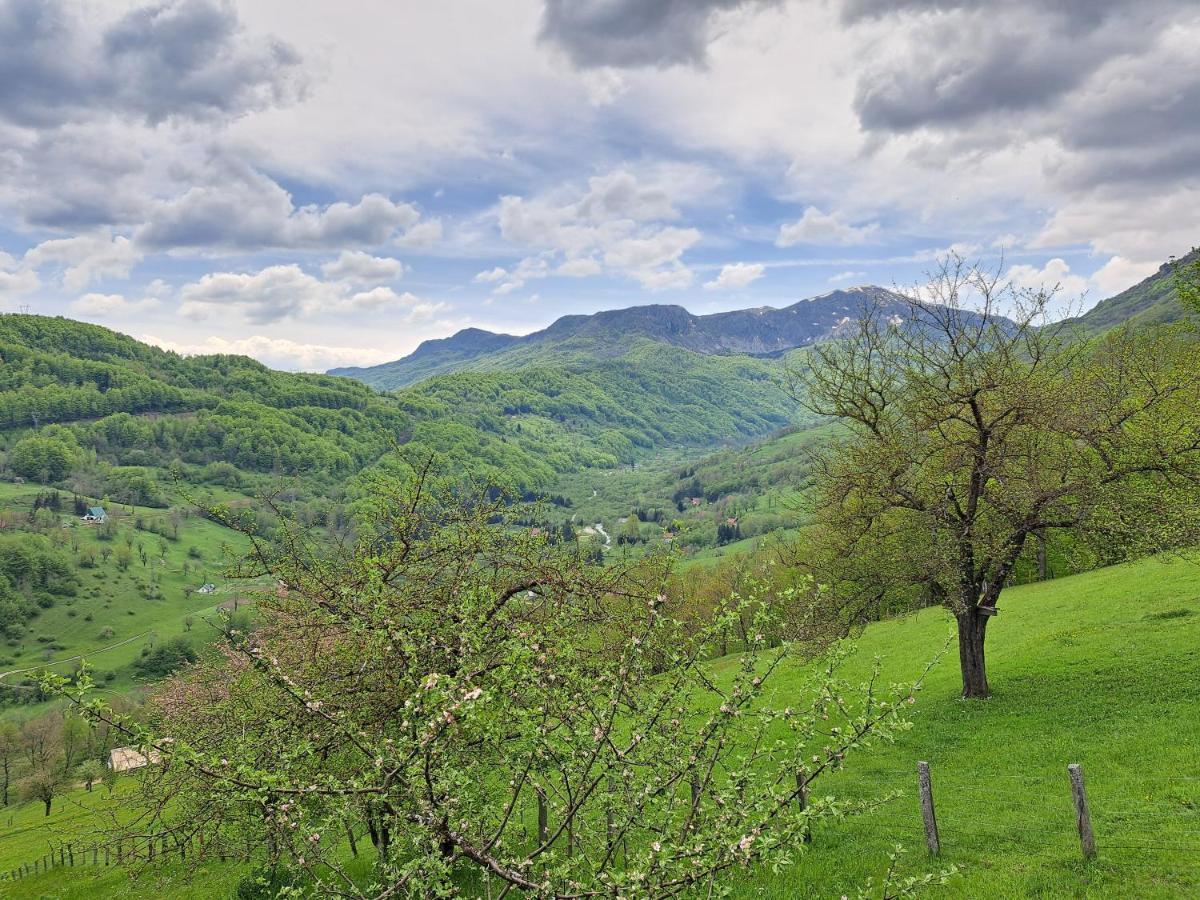 Fern Farm Tiny Home Mojkovac Exterior photo