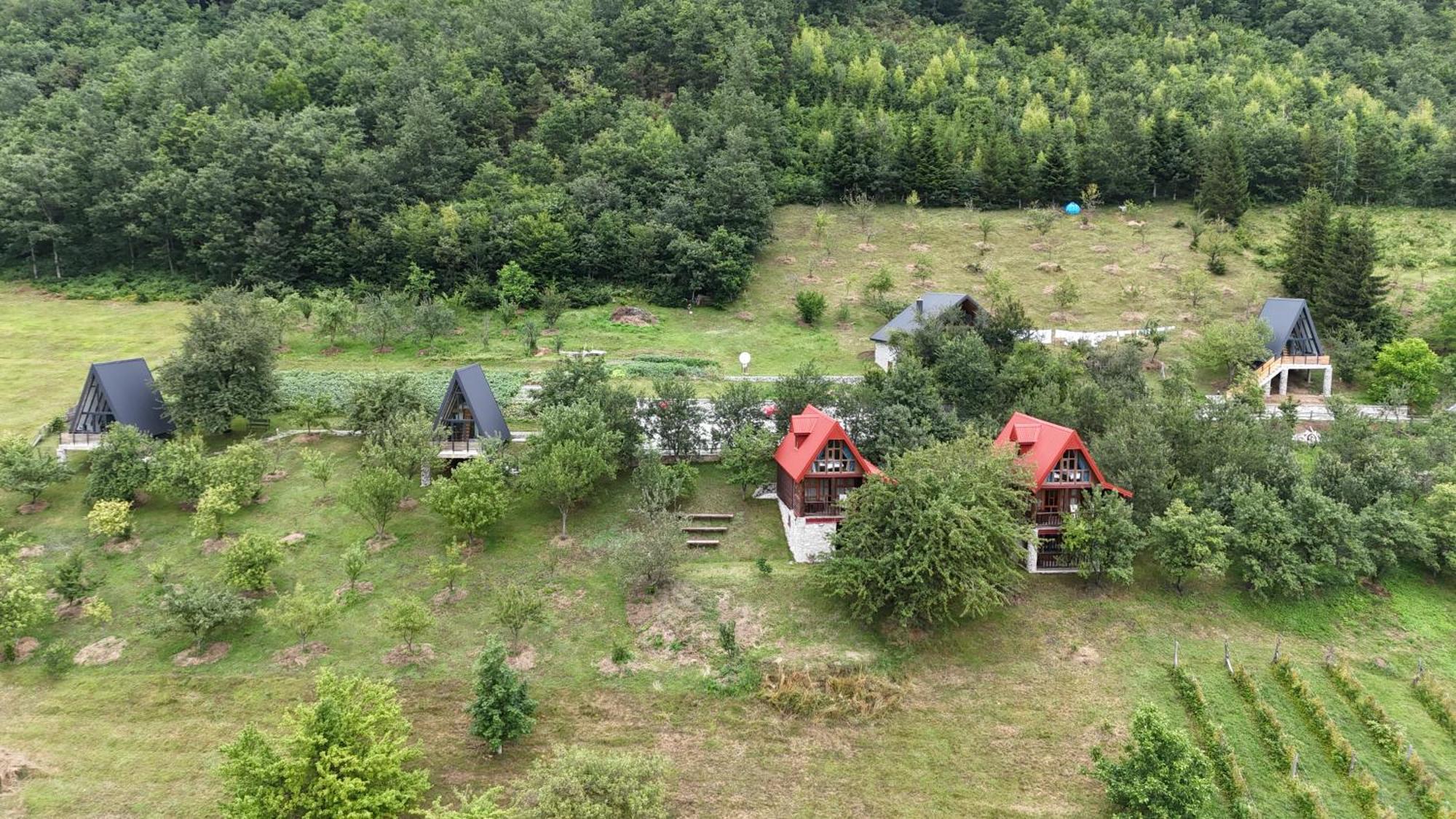 Fern Farm Tiny Home Mojkovac Exterior photo