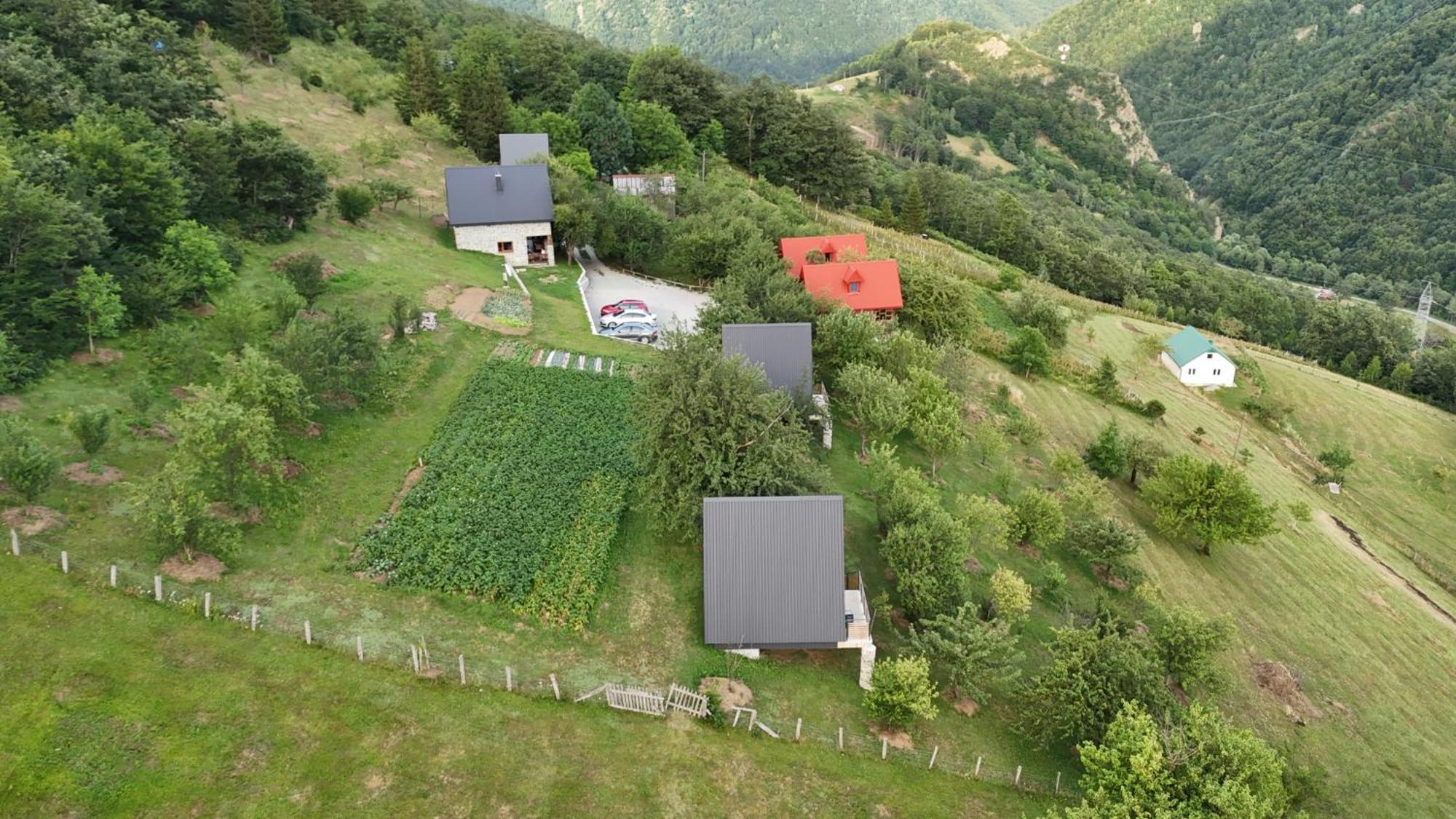 Fern Farm Tiny Home Mojkovac Exterior photo